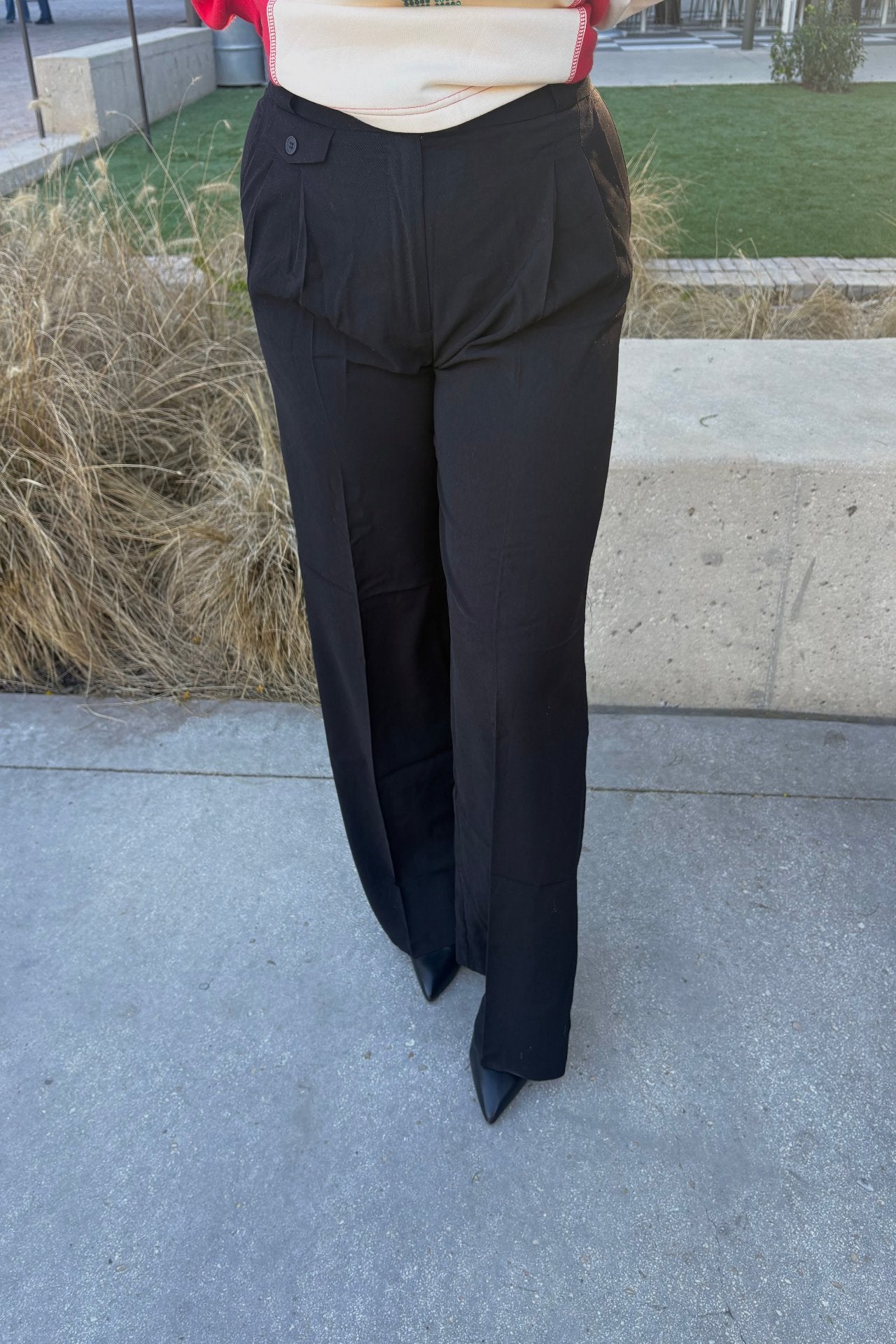 Emily High Waisted Dress Pants