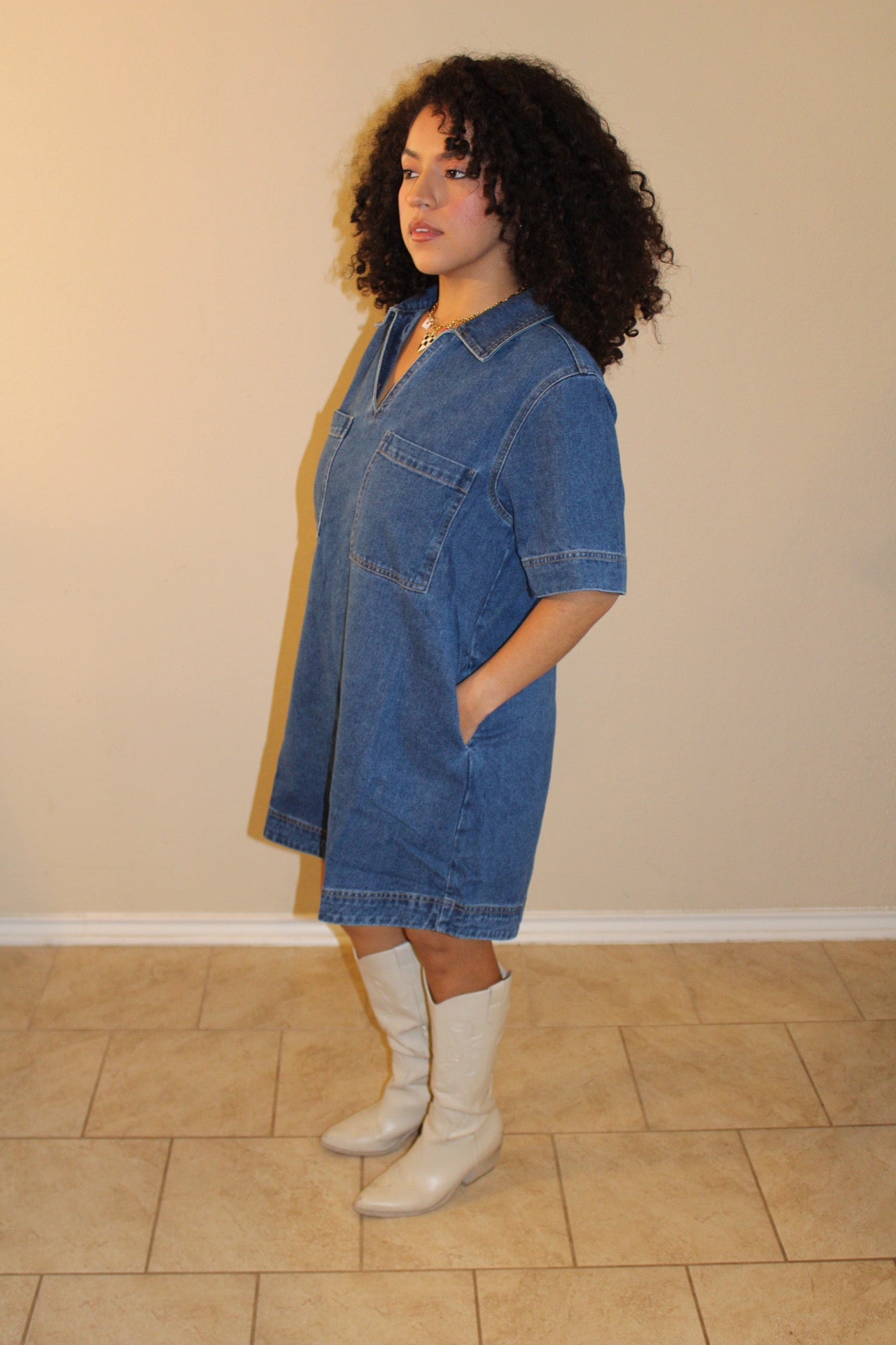 Tess Denim Dress
