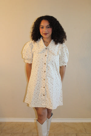 Denise Ditzy Floral Peter Pan Collar Dress