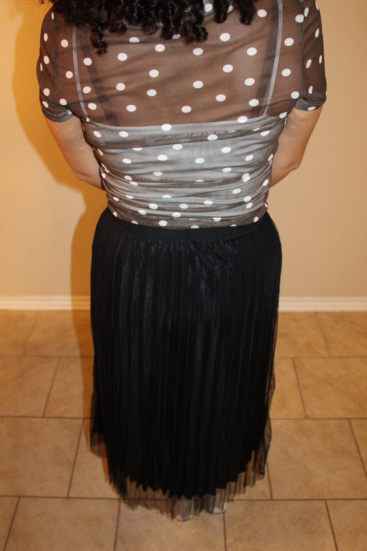 Aurora Pleated Tulle Skirt