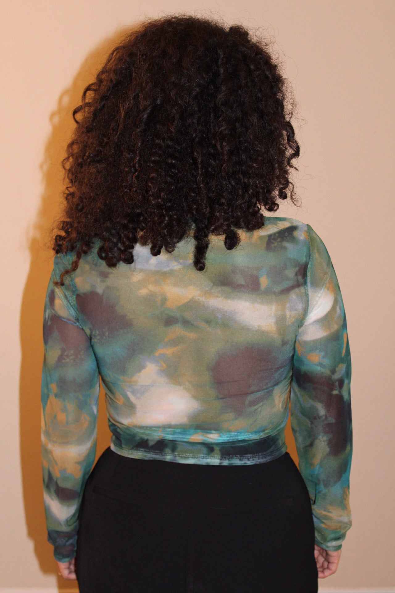 Sabrina  Mesh Long Sleeve Top