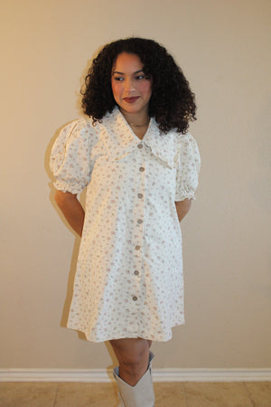 Denise Ditzy Floral Peter Pan Collar Dress