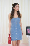 Dorian Dainty Denim Dress