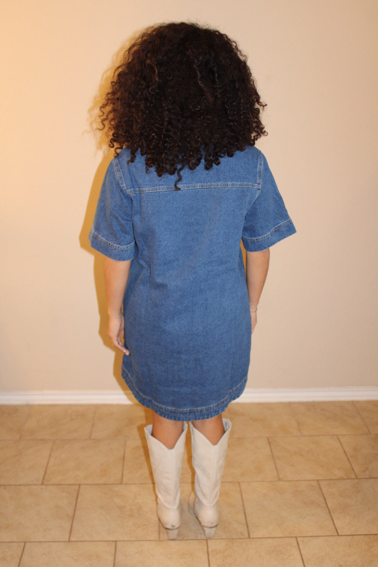 Tess Denim Dress