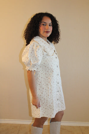 Denise Ditzy Floral Peter Pan Collar Dress